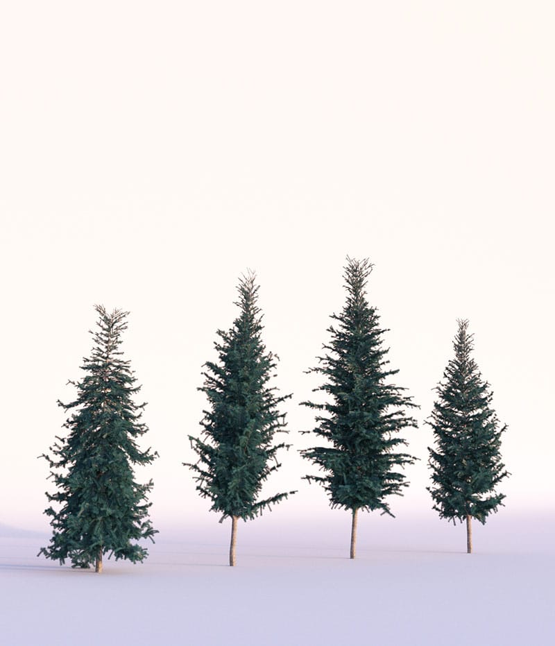 58218e41522959.57a9b47c24880