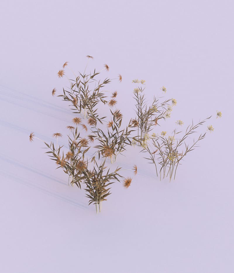 a4a19f41522959.57a9b47c26a2c