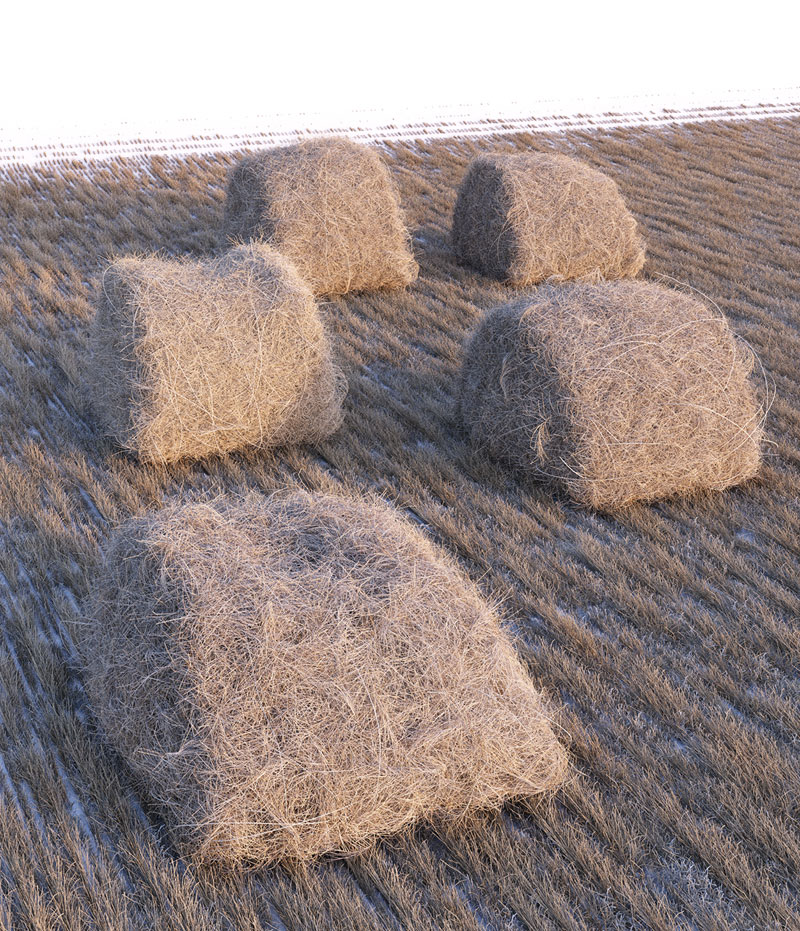 b94ae741522959.57a9b47c22f17