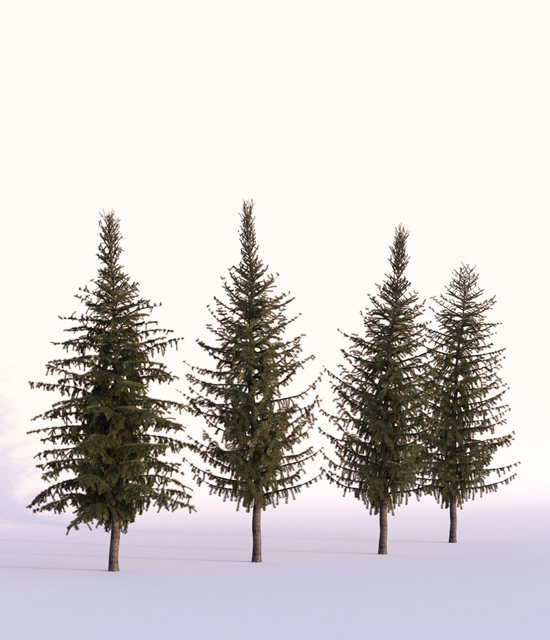 d4873041522959.57a9b47c2435a