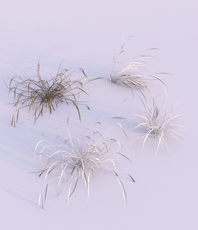 e660f341522959.57a9b47c276c7