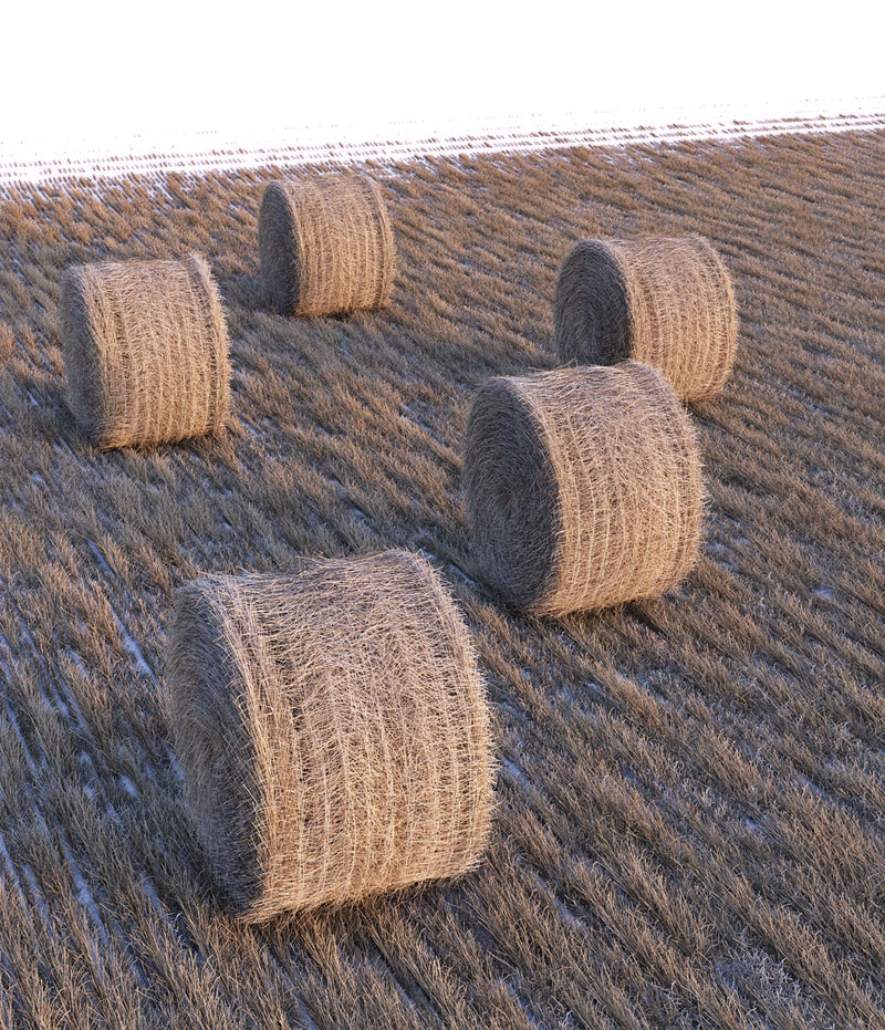 ff0ca341522959.57a9b47c2368a