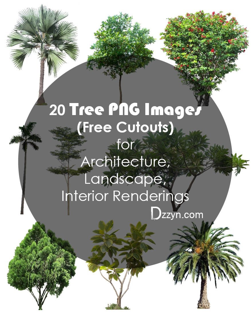 20 Tree PNG Images (Free Cutouts) for Architecture, Landscape, Interior Renderings