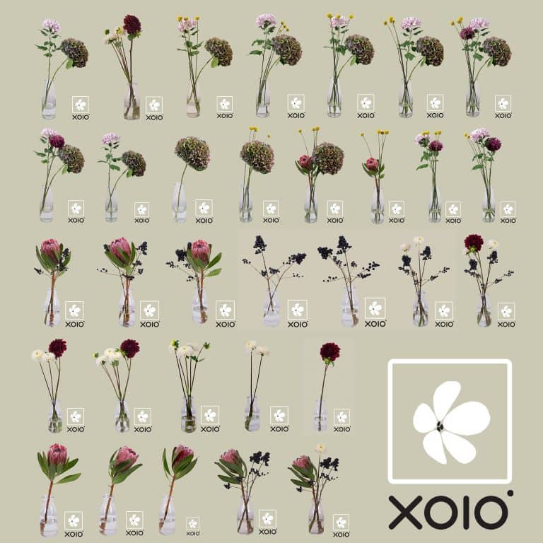 Flower Cutout Giveaway