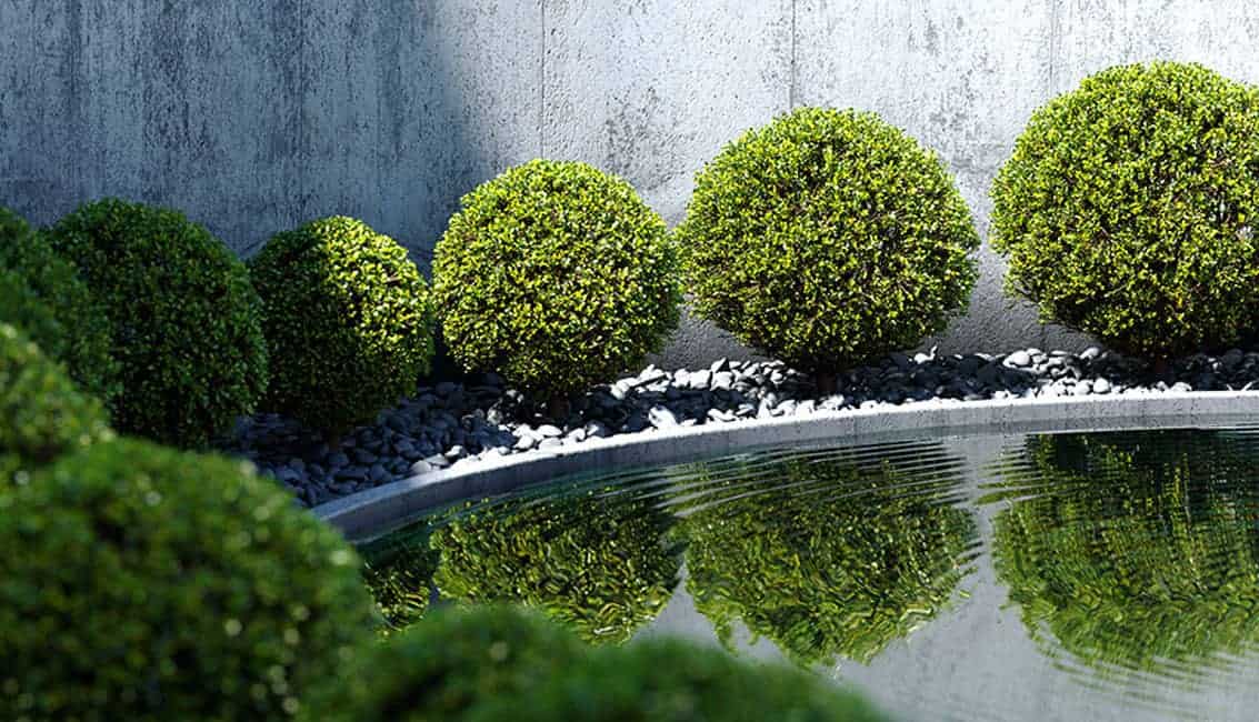 Boxtree_free_3d_model