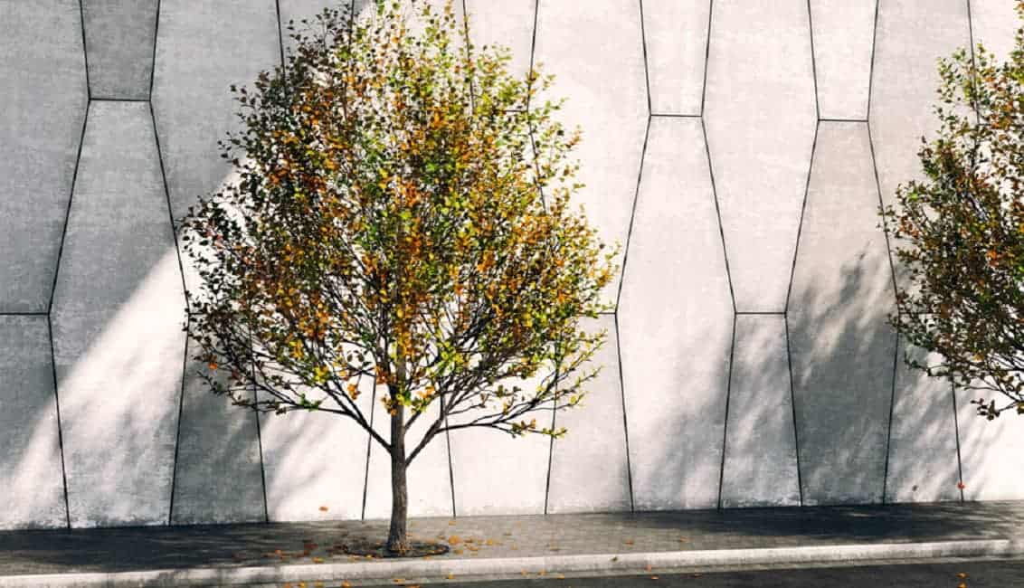 Free 3D Model – Street tree