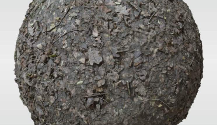 Muddy-Forest-Floor-Free-Texture-01