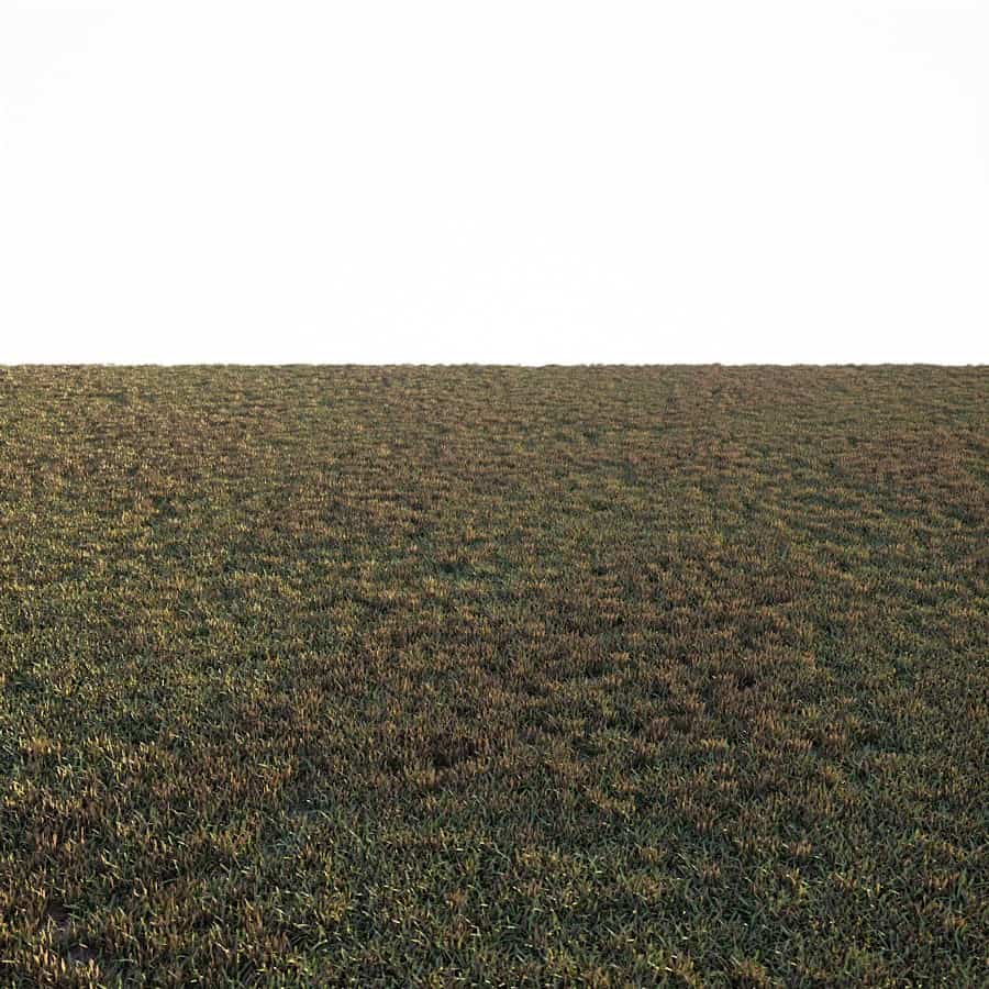 Free Grass Preset for FStormRender