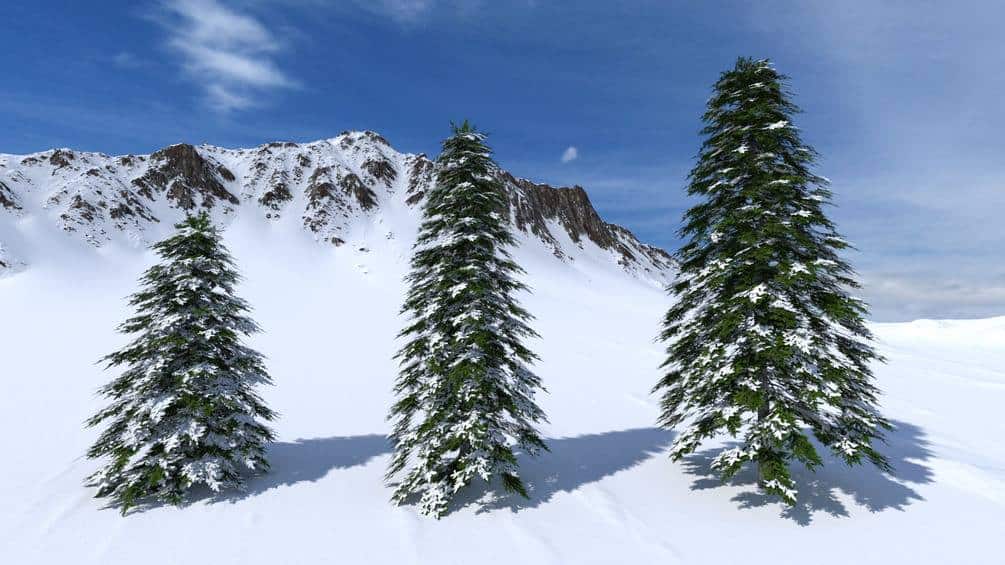Free Demo Scene of the Snow Landscape Builder from Nimbernan