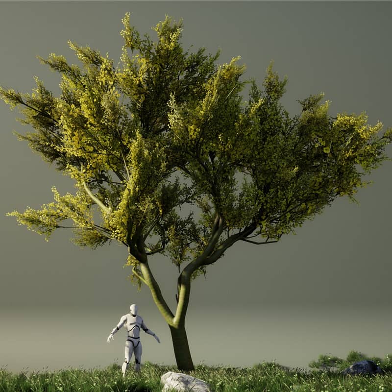 Freebie - Tree Pack By Chico Spans