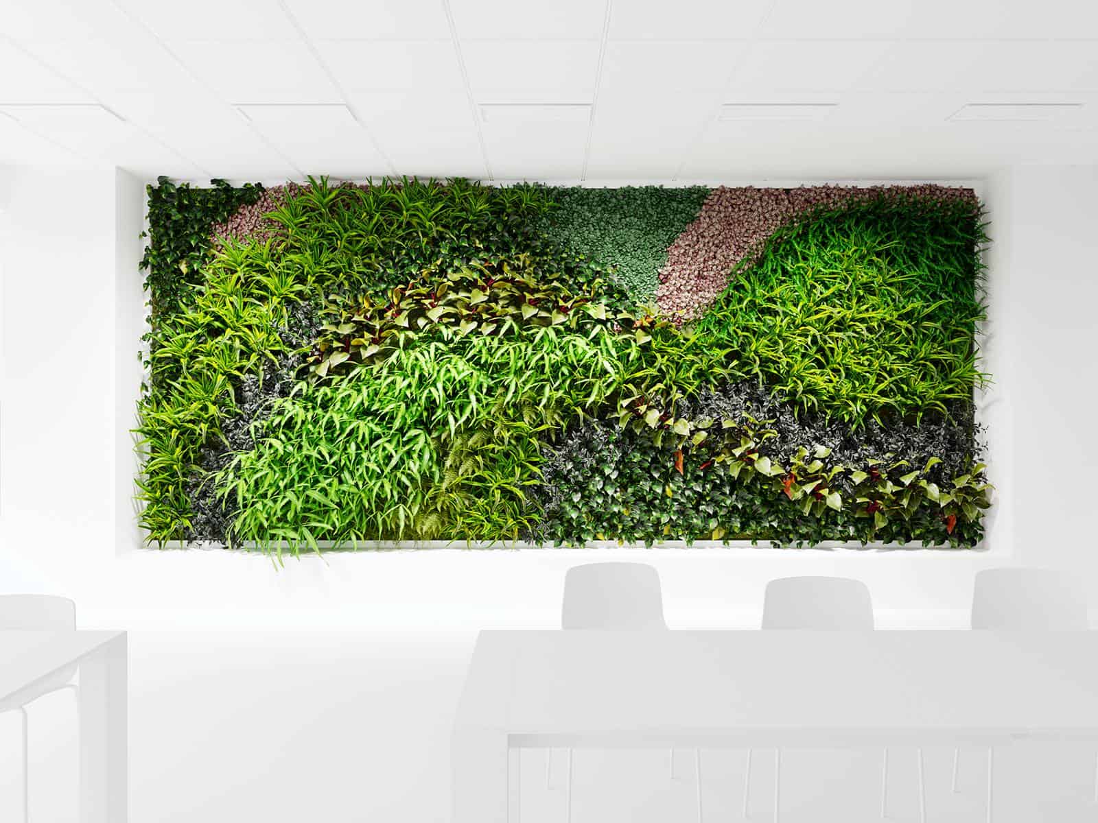 Plant Models Vol 10 Maxtree