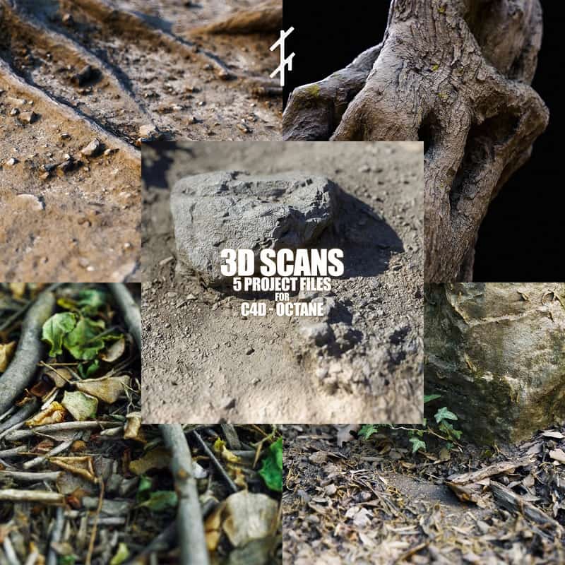 TFMSTYLE - 3D Scans