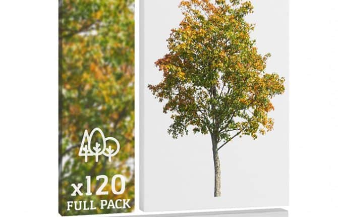 Autumn trees vol. 5-120 Cutout Trees 2