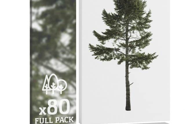 Conifer trees vol. 4-80 Cutout Trees