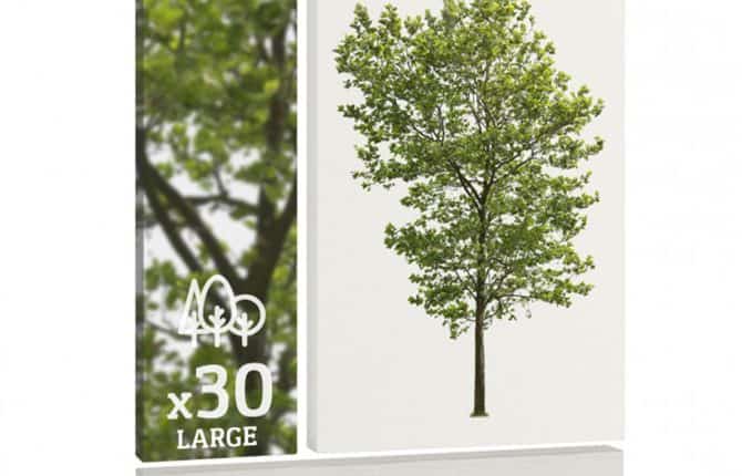 Trees vol. 1-L 30 large Cutout Trees