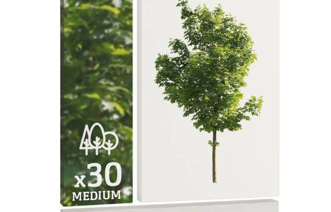 Trees vol. 1-M 30 medium Cutout Trees