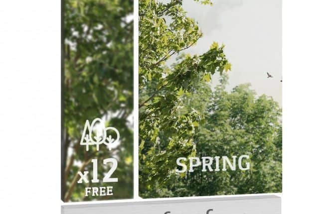 forest-digital Tree for free – Spring vol. 2-12 Cutout Trees