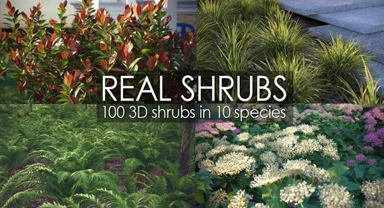 REAL SHRUBS for SKETCHUP