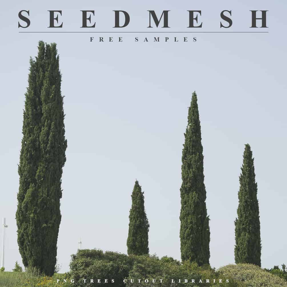 Download 6 Free Trees Cutouts Seedmesh