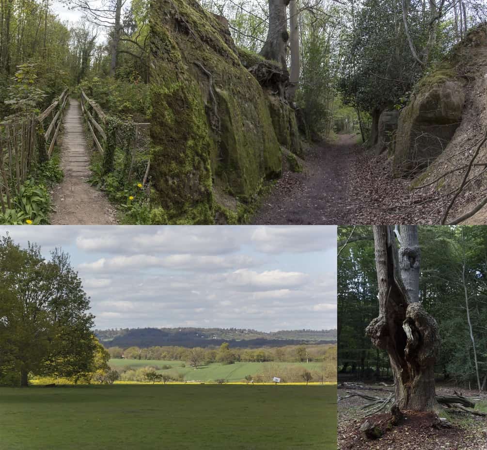 Free reference pack - English countryside