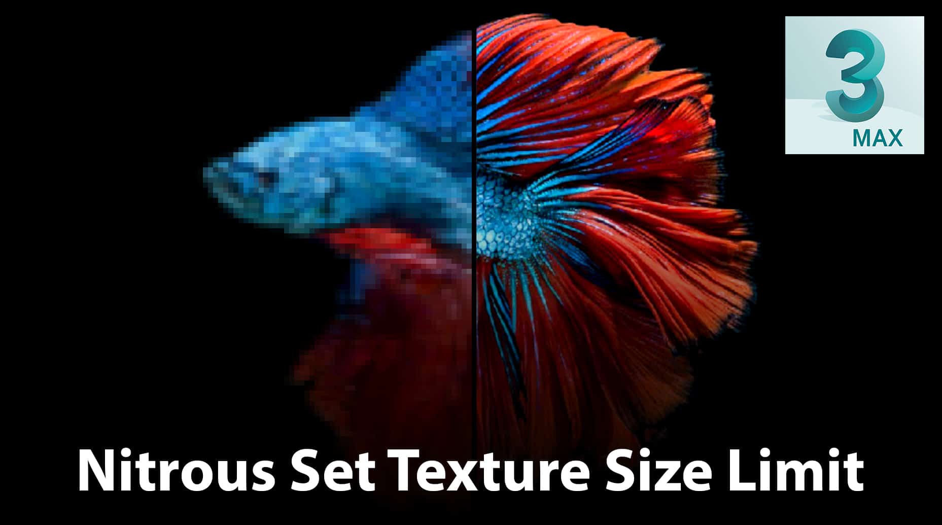 Texture size