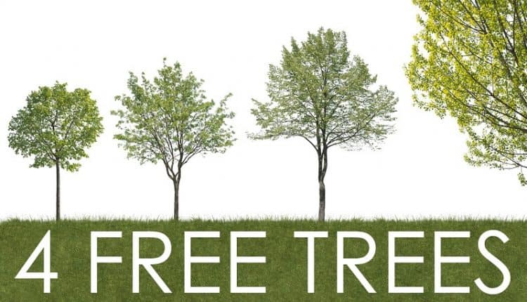 Free cutout trees AA Textures