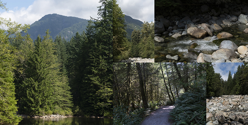 Free reference pack - Pacific northwest creek 8k | Barthelemy Aupetit