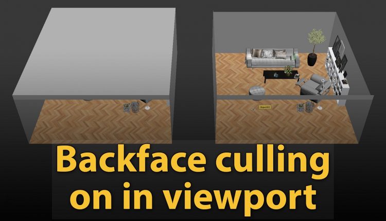 Backface-culling-on-in-viewport