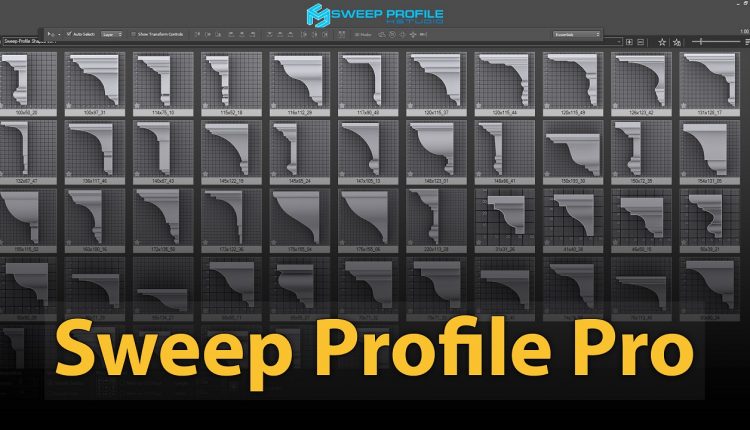 Sweep-Profile-Pro