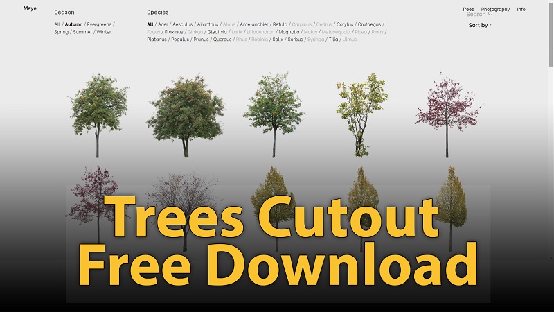 Free-Cutout-Trees-Meye