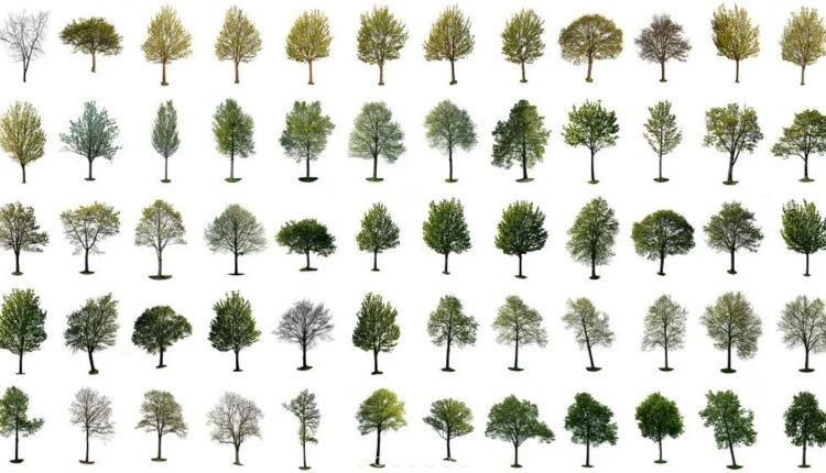 60 Spring tree cutouts 2-min