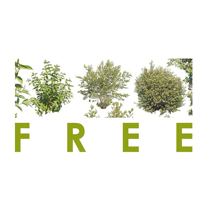 3-free-cut-out-bushes-aatextures