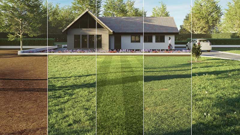 Creating-realistic-wild-mown-and-striped-grass