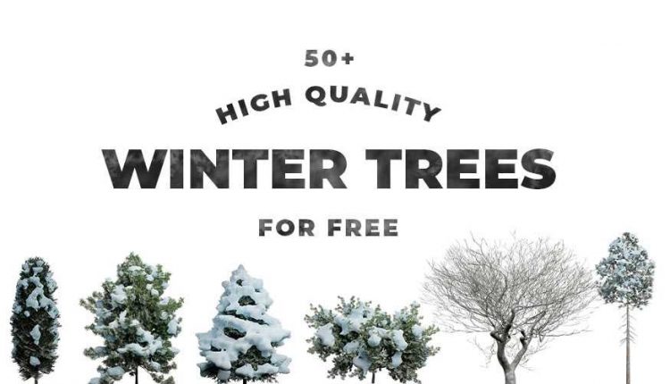 Free 50 High-Resolution Winter Trees with Transparent Background