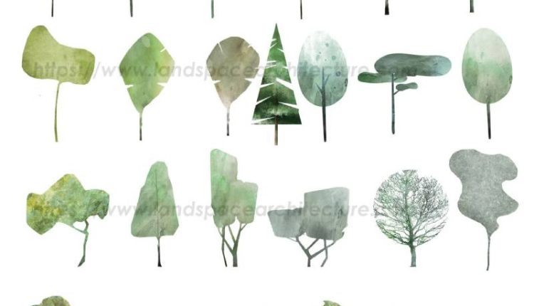 Watercolor trees and textures 2