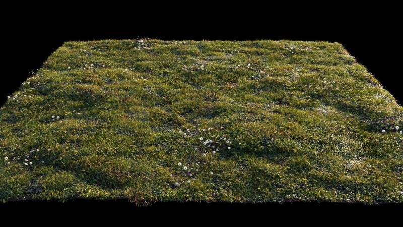 Free Grass Chaos scatter setup (Cinema 4D + Corona)