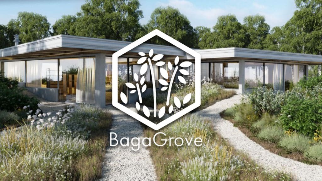 Baga Grove - Evermotion